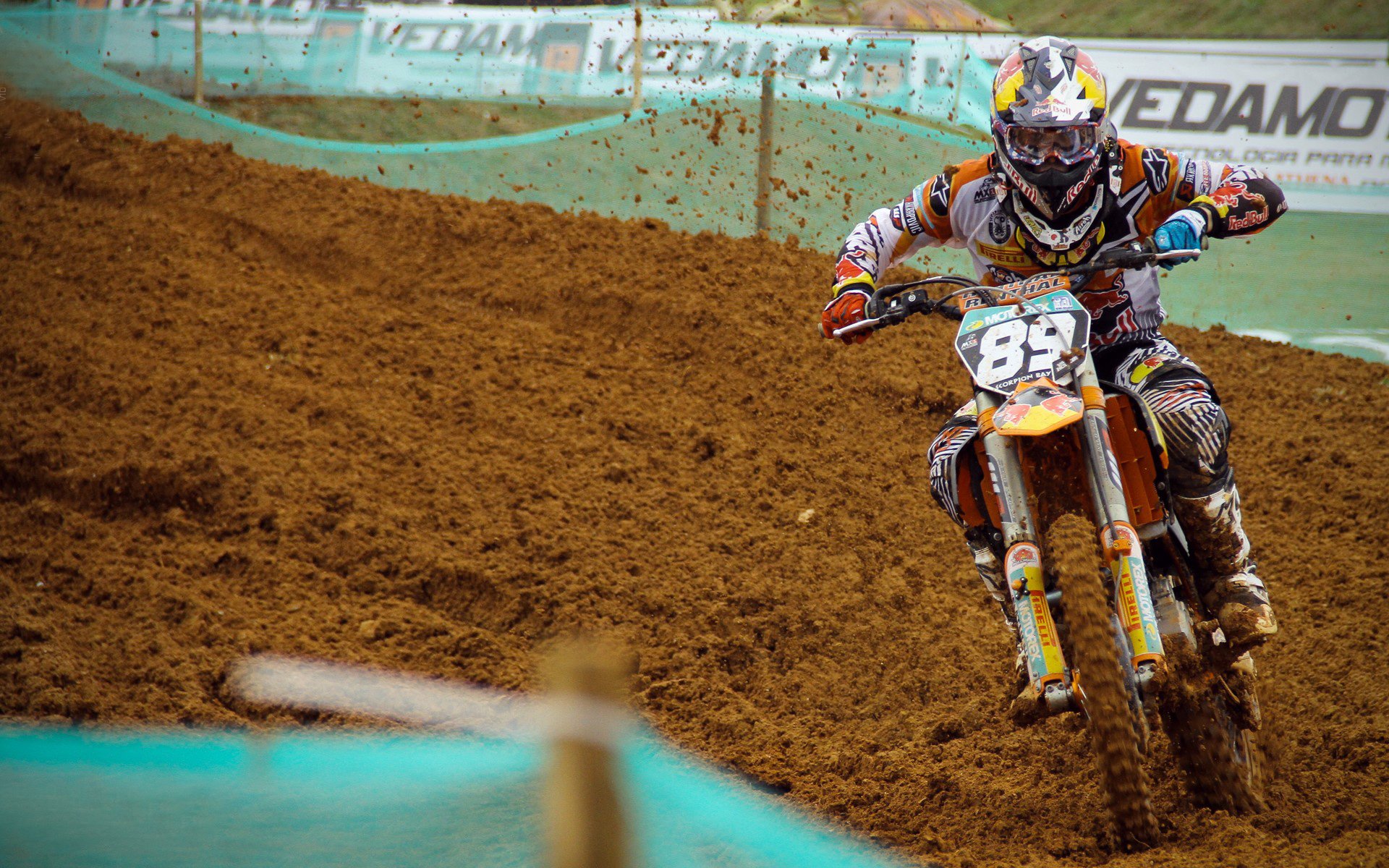 世界杯球场观赛体验升级 数字化服务成为新亮点